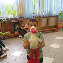 zdjęcie
