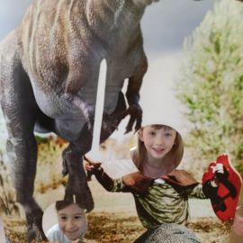 Zdjęcie