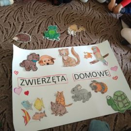 zdjęcie