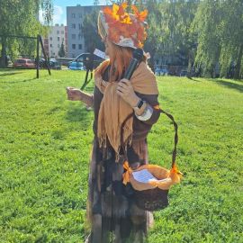 zdjęcie